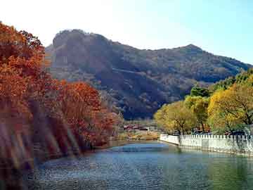 新澳天天开奖资料大全旅游团，乌头驴